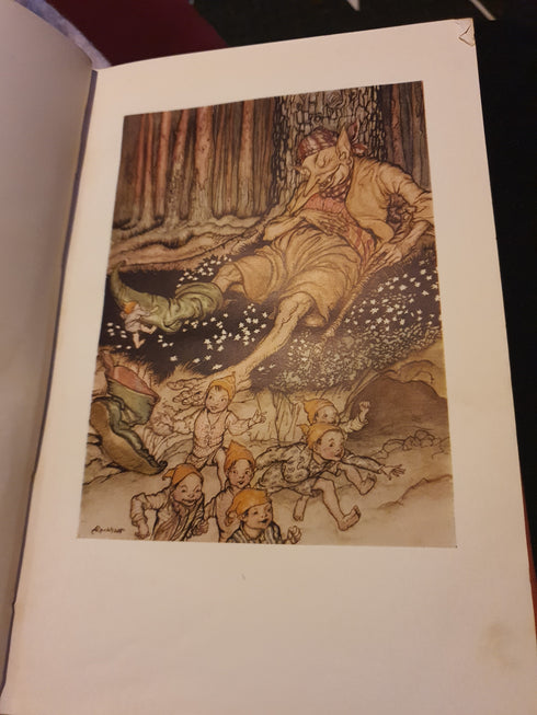 The Arthur Rackham Fairy Book by Arthur Rackham